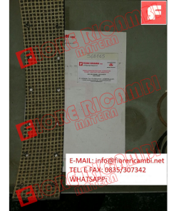 568165 SEGMENTO